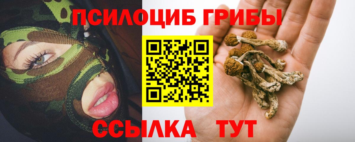 Псилоцибиновые грибы Magic Shrooms Балтийск