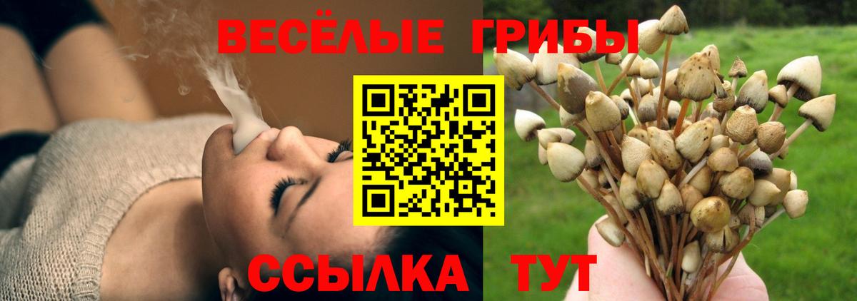 Галлюциногенные грибы MAGIC MUSHROOMS  Галлюциногенные грибы Magic Shrooms  Вход с VPN  Балтийск 