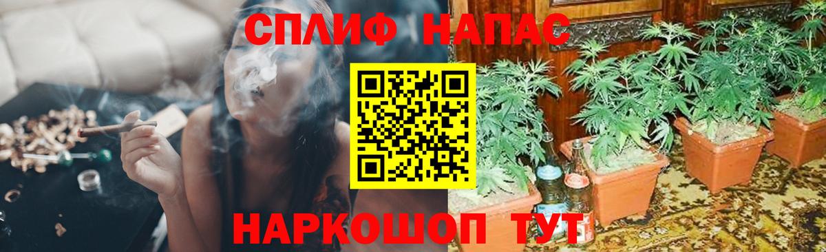 Бошки марихуана гибрид Балтийск